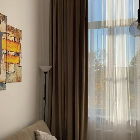 Apartment Loft In City Center-prime Kaunas